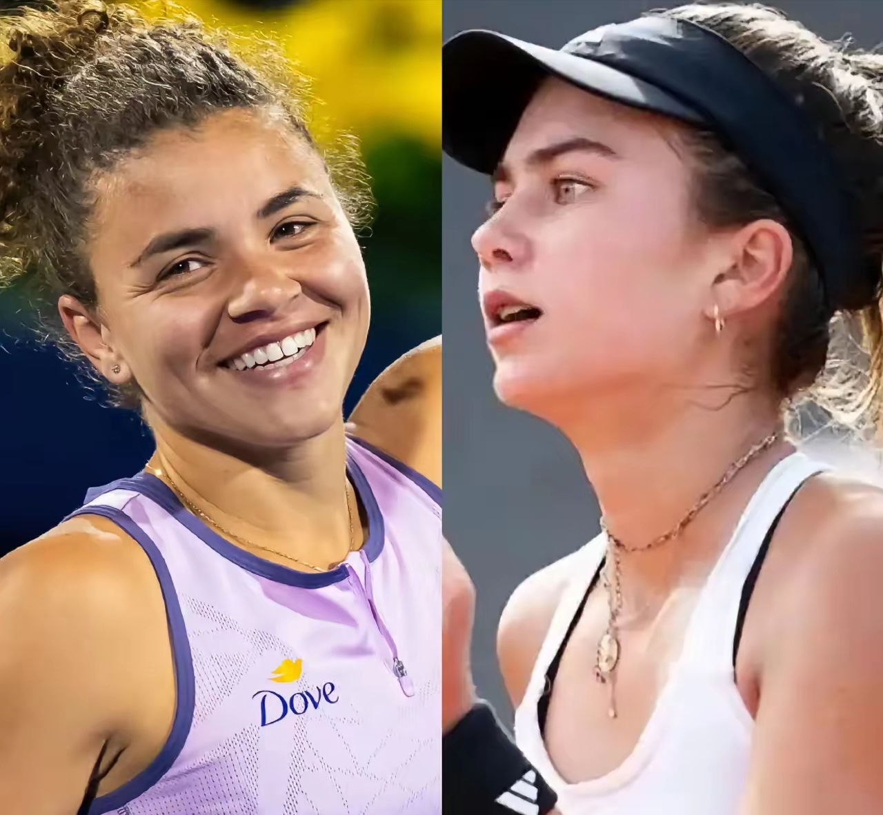 他持有感恩 他持有感恩