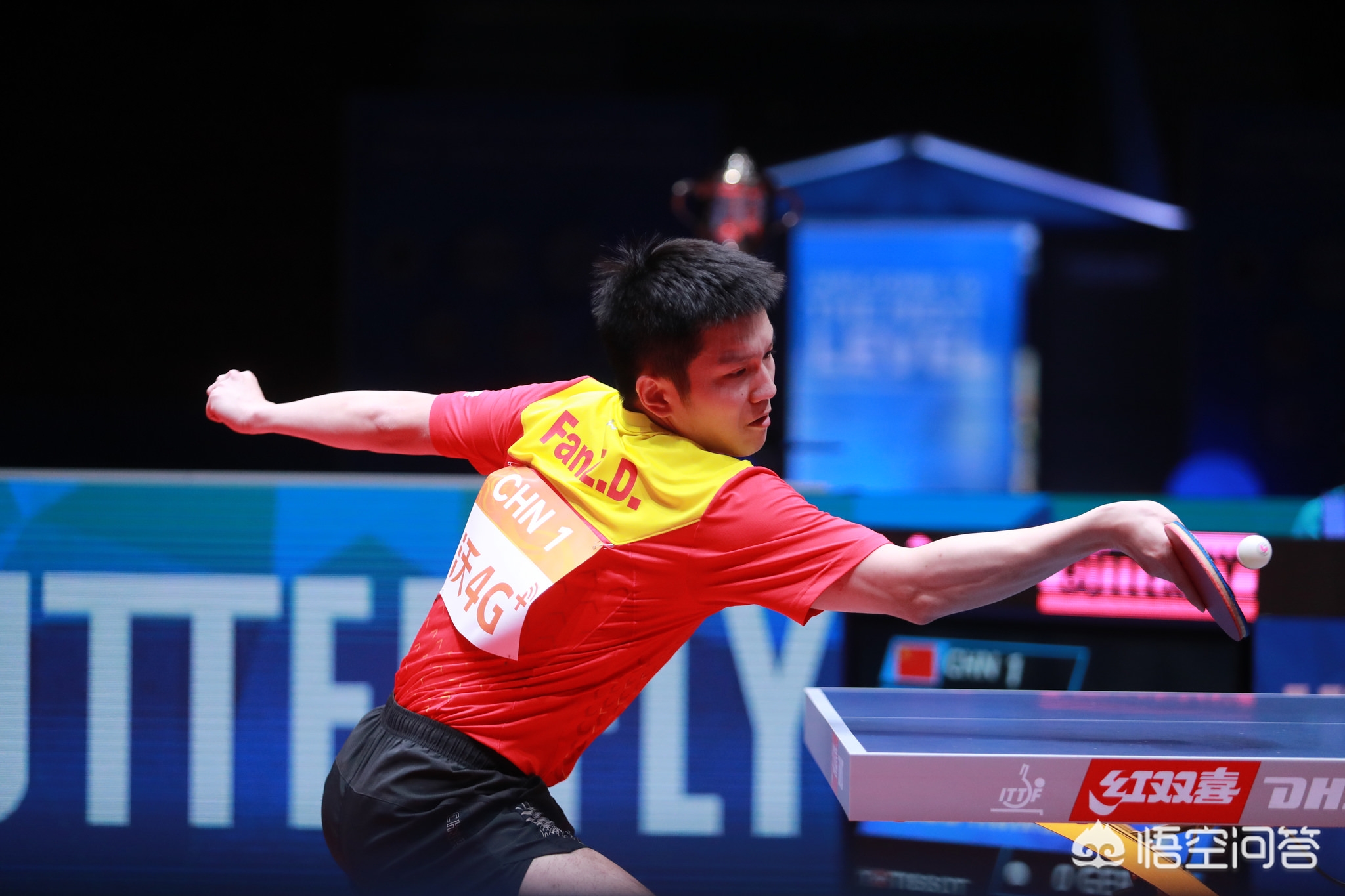 杨的加入 杨的加入