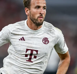 周报与训练 周报与训练